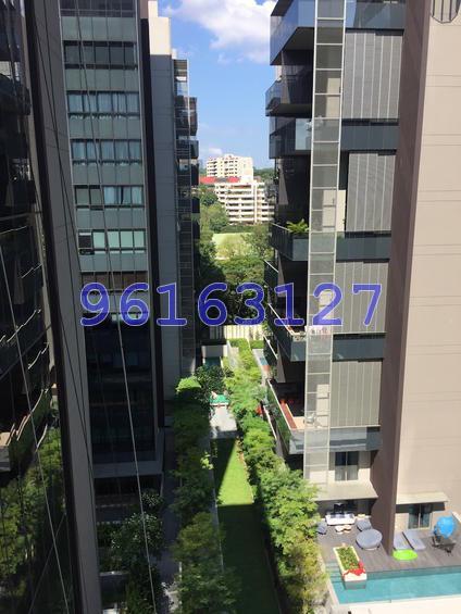 Leedon Residence (D10), Condominium #146351222